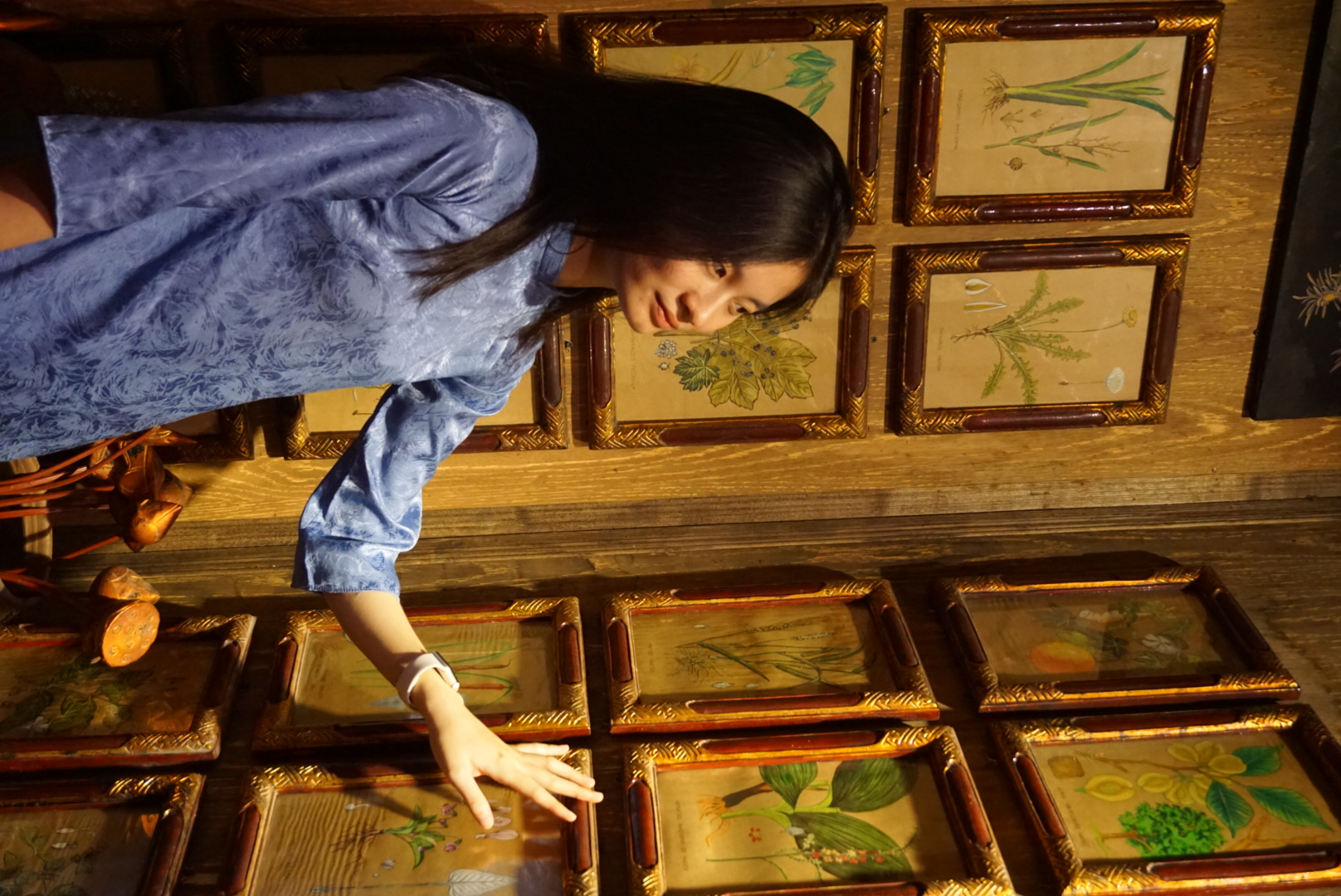Tran Thao Van working portrait